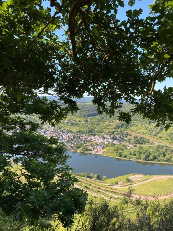 Ferienwohnungen Und Gaestezimmer Peter Busch Bernkastel-Kues Luaran gambar
