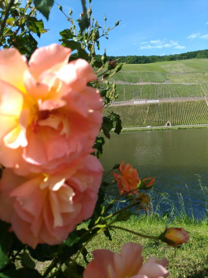 Ferienwohnungen Und Gaestezimmer Peter Busch Bernkastel-Kues Luaran gambar