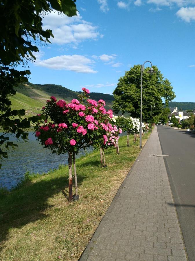 Ferienwohnungen Und Gaestezimmer Peter Busch Bernkastel-Kues Luaran gambar