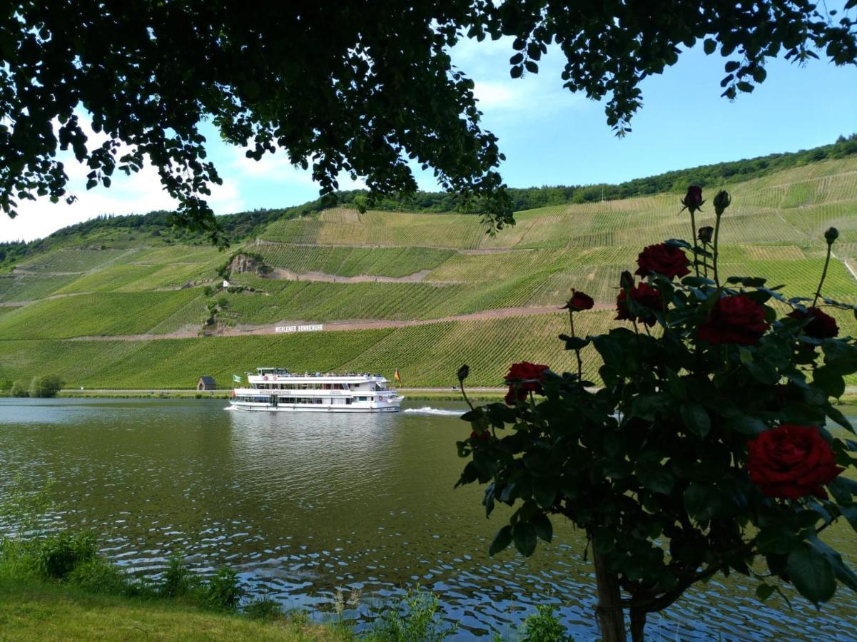Ferienwohnungen Und Gaestezimmer Peter Busch Bernkastel-Kues Luaran gambar