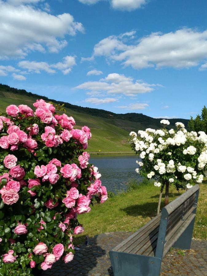 Ferienwohnungen Und Gaestezimmer Peter Busch Bernkastel-Kues Luaran gambar