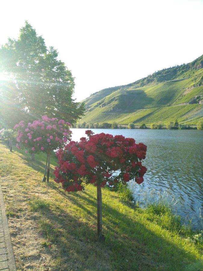 Ferienwohnungen Und Gaestezimmer Peter Busch Bernkastel-Kues Luaran gambar