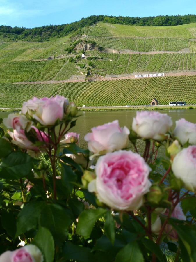 Ferienwohnungen Und Gaestezimmer Peter Busch Bernkastel-Kues Luaran gambar