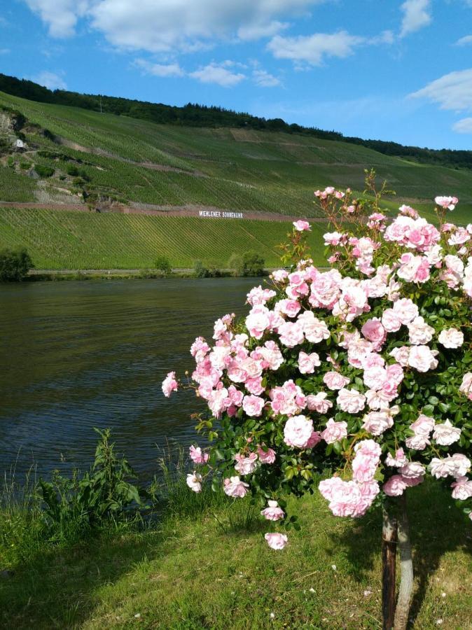 Ferienwohnungen Und Gaestezimmer Peter Busch Bernkastel-Kues Luaran gambar
